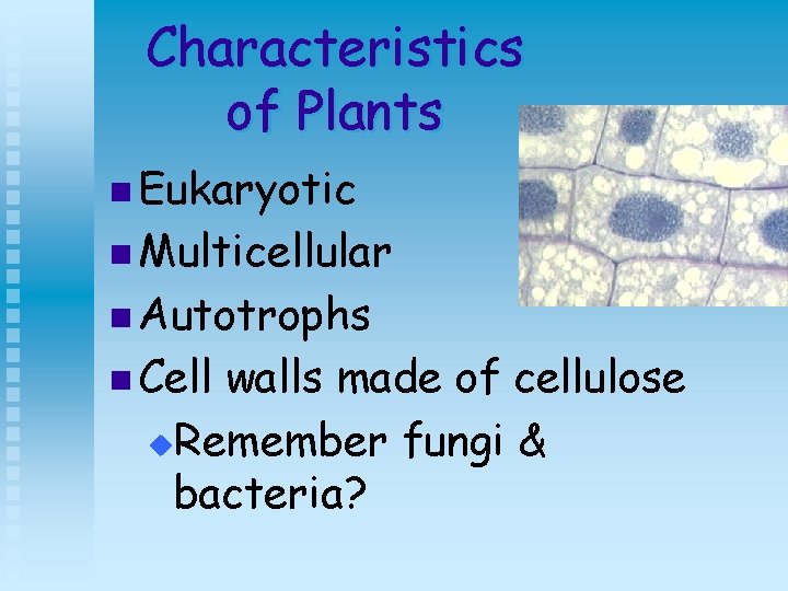 Characteristics of Plants n Eukaryotic n Multicellular n Autotrophs n Cell walls made of