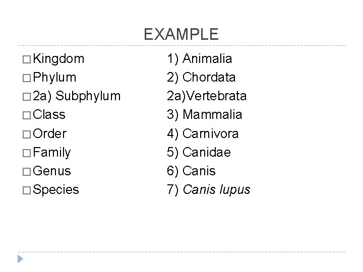 EXAMPLE � Kingdom � Phylum � 2 a) Subphylum � Class � Order �