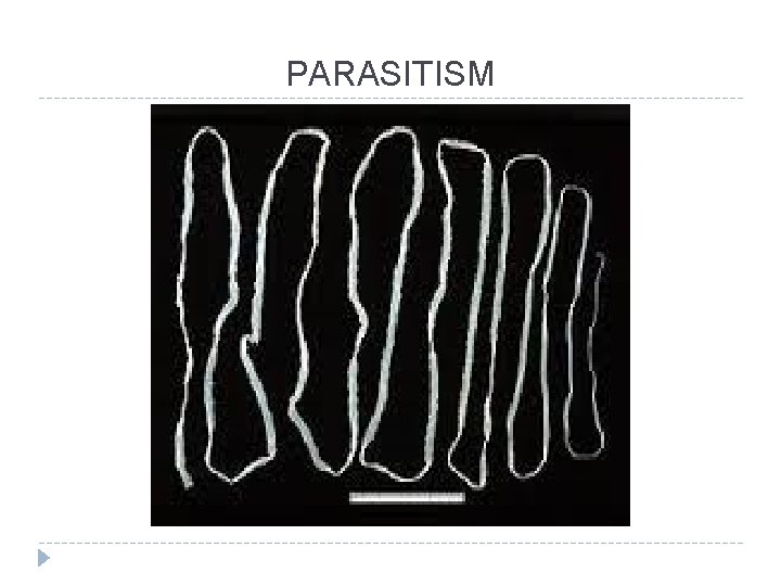 PARASITISM 