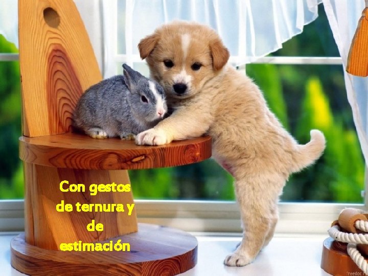 Con gestos de ternura y de estimación 