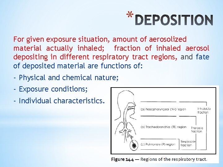* For given exposure situation, amount of aerosolized material actually inhaled; fraction of inhaled