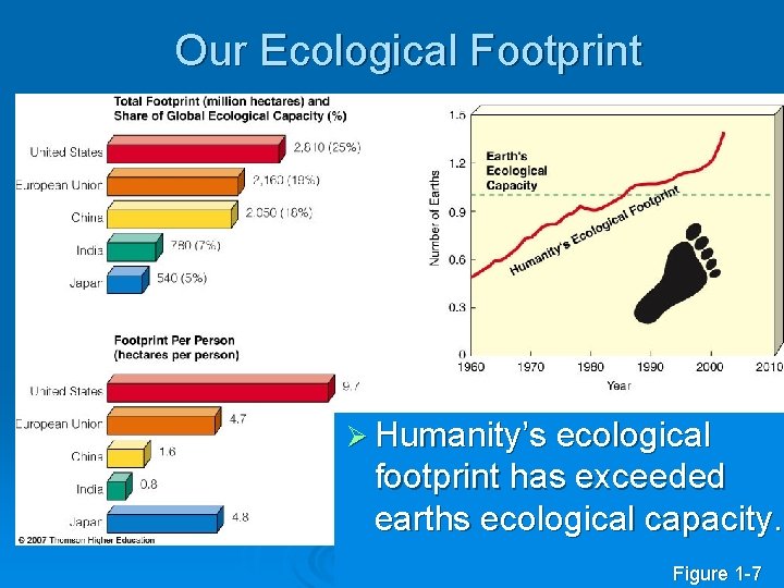 Our Ecological Footprint Ø Humanity’s ecological footprint has exceeded earths ecological capacity. Figure 1