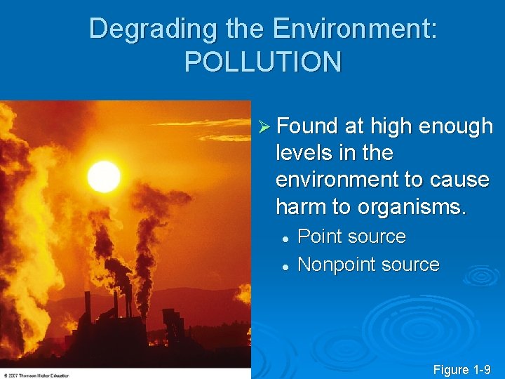Degrading the Environment: POLLUTION Ø Found at high enough levels in the environment to