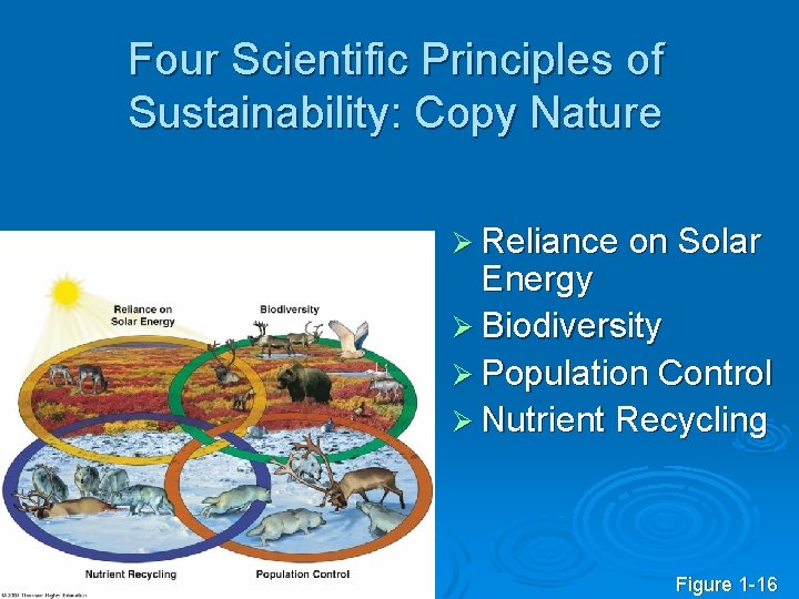 Four Scientific Principles of Sustainability: Copy Nature Ø Reliance on Solar Energy Ø Biodiversity