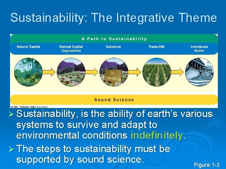 Sustainability: The Integrative Theme Ø Sustainability, is the ability of earth’s various systems to