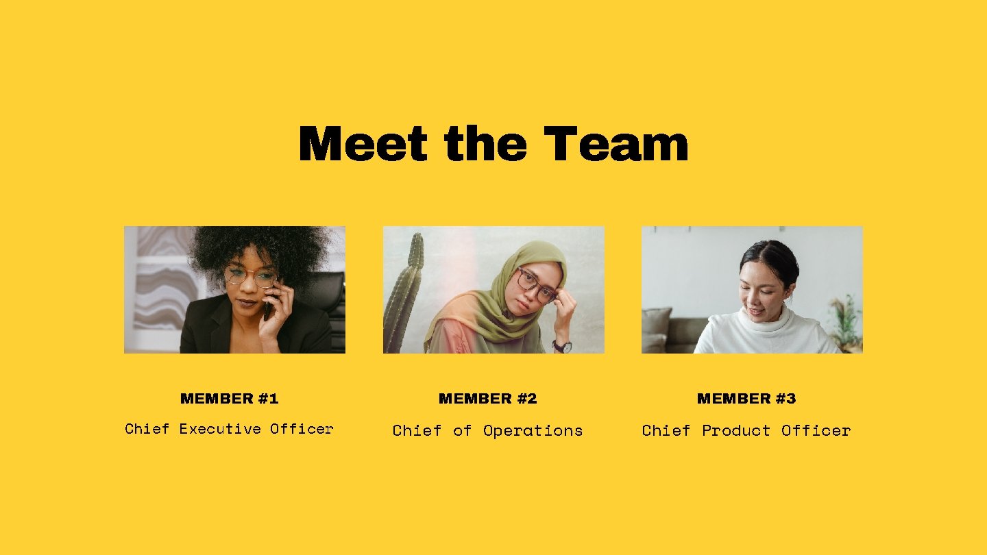 Meet the Team MEMBER #1 MEMBER #2 MEMBER #3 Chief Executive Officer Chief of