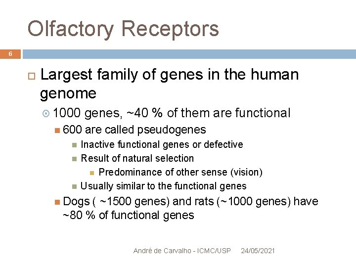 Olfactory Receptors 6 Largest family of genes in the human genome 1000 600 genes,