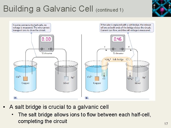 Building a Galvanic Cell (continued 1) • A salt bridge is crucial to a