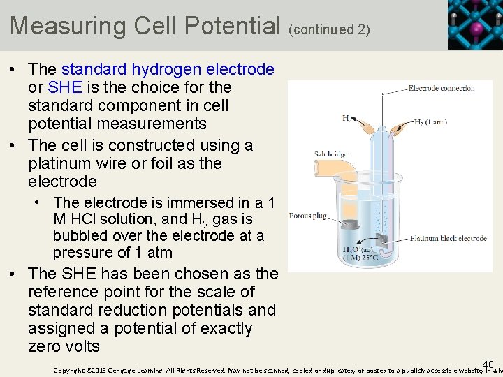 Measuring Cell Potential (continued 2) • The standard hydrogen electrode or SHE is the