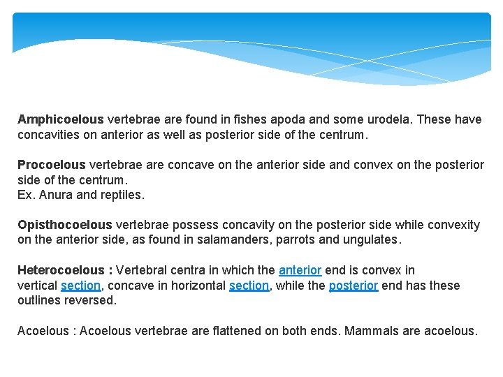 Amphicoelous vertebrae are found in fishes apoda and some urodela. These have concavities on