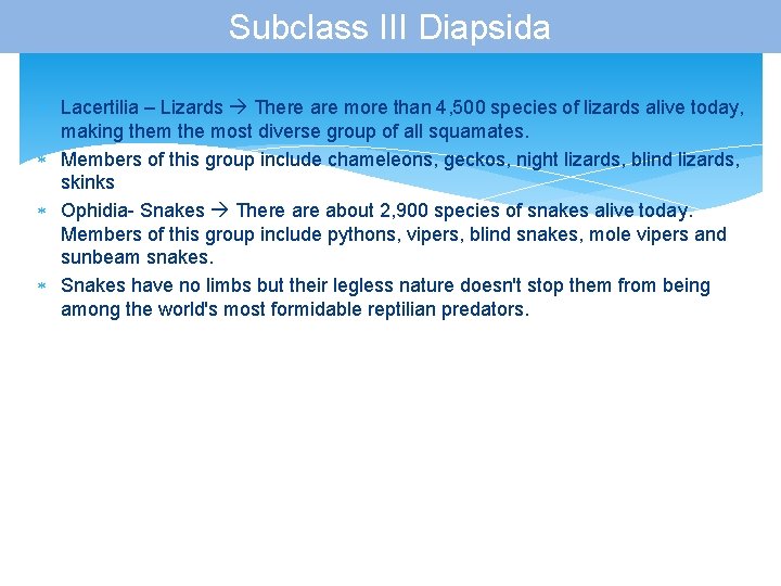 Subclass III Diapsida Lacertilia – Lizards There are more than 4, 500 species of