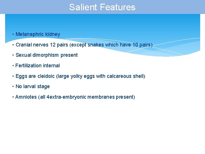Salient Features • Metanephric kidney • Cranial nerves 12 pairs (except snakes which have