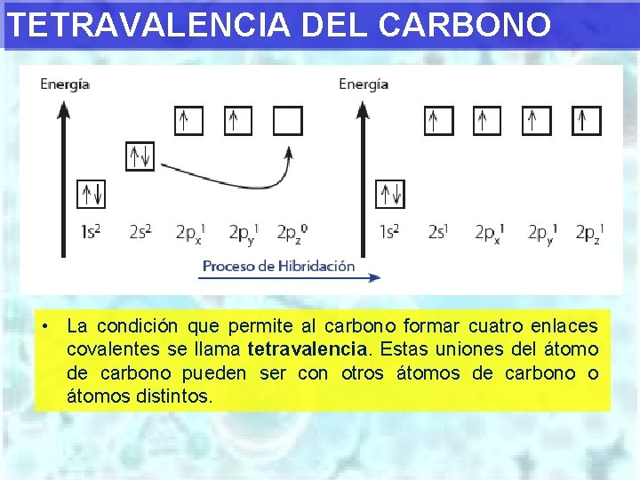 TETRAVALENCIA DEL CARBONO • La condición que permite al carbono formar cuatro enlaces covalentes