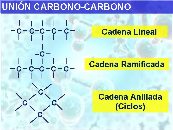 UNIÓN CARBONO-CARBONO C C Cadena Lineal C C Cadena Ramificada Cadena Anillada (Ciclos) 