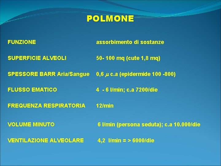 POLMONE FUNZIONE assorbimento di sostanze SUPERFICIE ALVEOLI 50 - 100 mq (cute 1, 8