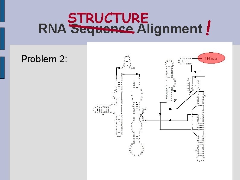 STRUCTURE RNA Sequence Alignment ! Problem 2: 