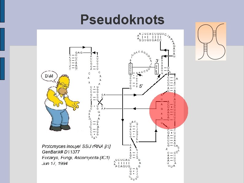 Pseudoknots 