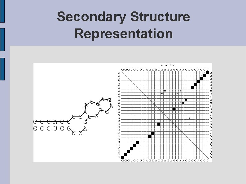 Secondary Structure Representation 