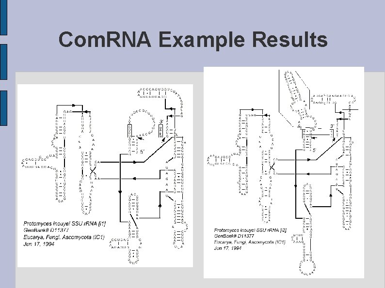 Com. RNA Example Results 