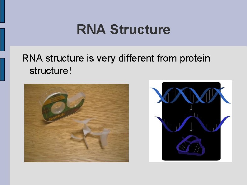 RNA Structure RNA structure is very different from protein structure! 
