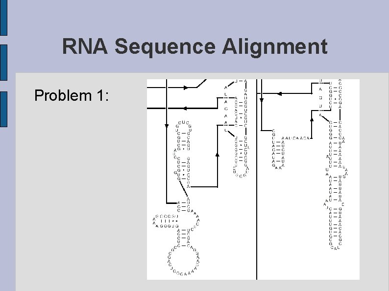 RNA Sequence Alignment Problem 1: 