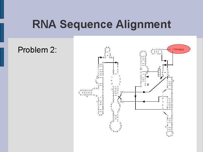 RNA Sequence Alignment Problem 2: 