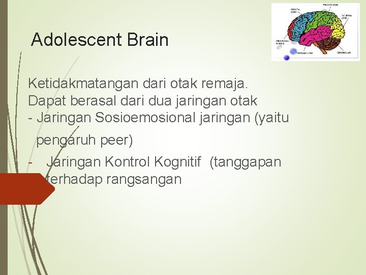 Adolescent Brain Ketidakmatangan dari otak remaja. Dapat berasal dari dua jaringan otak - Jaringan