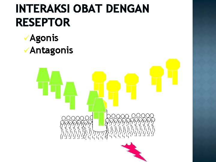 INTERAKSI OBAT DENGAN RESEPTOR üAgonis üAntagonis 