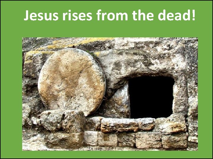 Jesus rises from the dead! 