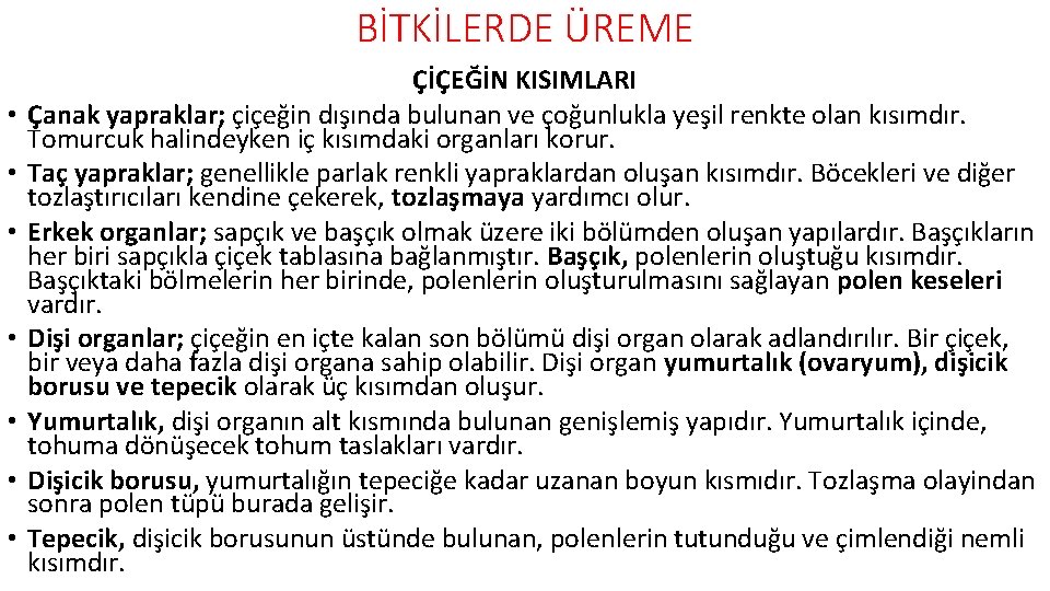 BİTKİLERDE ÜREME • • ÇİÇEĞİN KISIMLARI Çanak yapraklar; çiçeğin dışında bulunan ve çoğunlukla yeşil