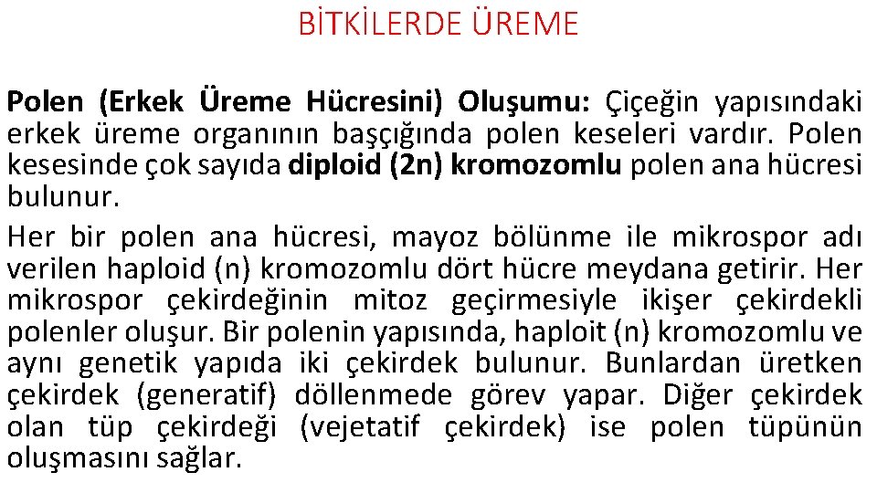 BİTKİLERDE ÜREME Polen (Erkek Üreme Hücresini) Oluşumu: Çiçeğin yapısındaki erkek üreme organının başçığında polen