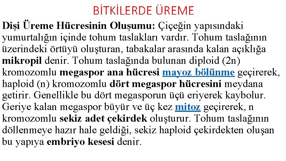 BİTKİLERDE ÜREME Dişi Üreme Hücresinin Oluşumu: Çiçeğin yapısındaki yumurtalığın içinde tohum taslakları vardır. Tohum