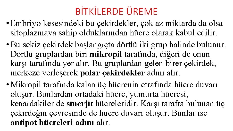 BİTKİLERDE ÜREME • Embriyo kesesindeki bu çekirdekler, çok az miktarda da olsa sitoplazmaya sahip