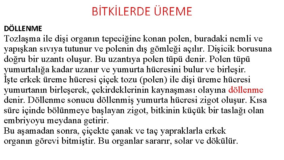 BİTKİLERDE ÜREME DÖLLENME Tozlaşma ile dişi organın tepeciğine konan polen, buradaki nemli ve yapışkan