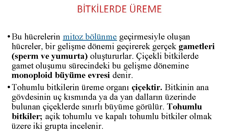 BİTKİLERDE ÜREME • Bu hücrelerin mitoz bölünme geçirmesiyle oluşan hücreler, bir gelişme dönemi geçirerek