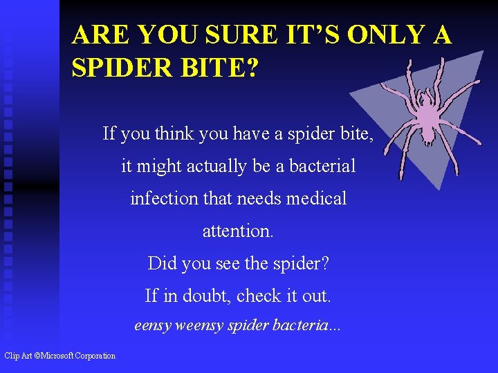 ARE YOU SURE IT’S ONLY A SPIDER BITE? If you think you have a