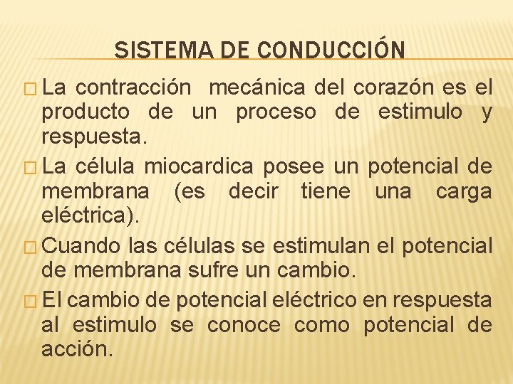 SISTEMA DE CONDUCCIÓN � La contracción mecánica del corazón es el producto de un