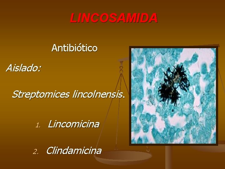 LINCOSAMIDA Antibiótico Aislado: Streptomices lincolnensis. 1. Lincomicina 2. Clindamicina 