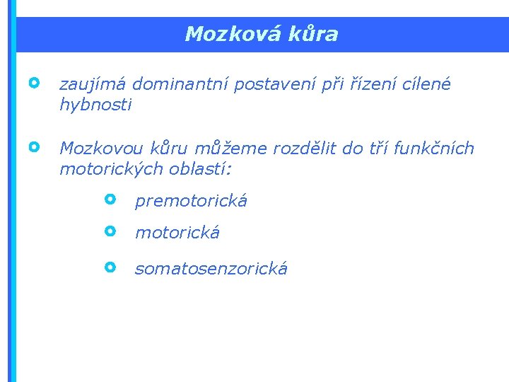 Mozková kůra zaujímá dominantní postavení při řízení cílené hybnosti Mozkovou kůru můžeme rozdělit do