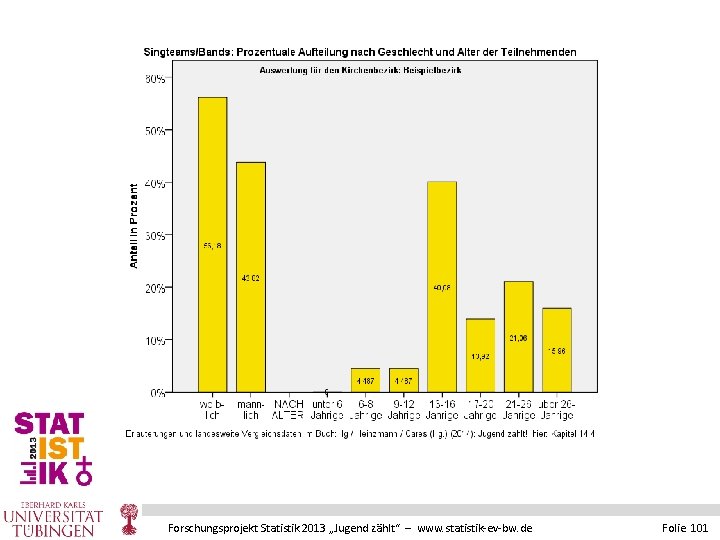 Forschungsprojekt Statistik 2013 „Jugend zählt“ – www. statistik-ev-bw. de Folie 101 