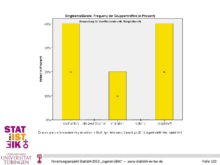 Forschungsprojekt Statistik 2013 „Jugend zählt“ – www. statistik-ev-bw. de Folie 102 