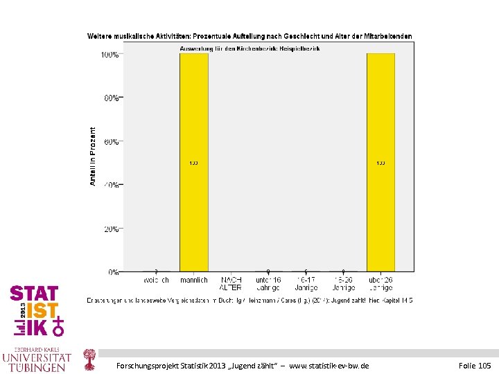 Forschungsprojekt Statistik 2013 „Jugend zählt“ – www. statistik-ev-bw. de Folie 105 