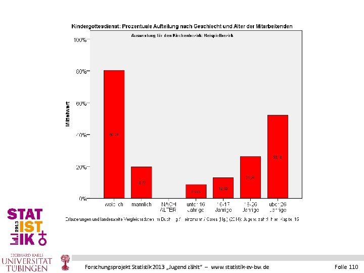 Forschungsprojekt Statistik 2013 „Jugend zählt“ – www. statistik-ev-bw. de Folie 110 