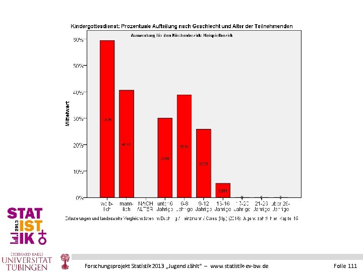 Forschungsprojekt Statistik 2013 „Jugend zählt“ – www. statistik-ev-bw. de Folie 111 