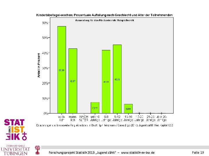 Forschungsprojekt Statistik 2013 „Jugend zählt“ – www. statistik-ev-bw. de Folie 19 