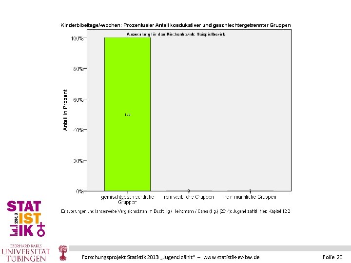 Forschungsprojekt Statistik 2013 „Jugend zählt“ – www. statistik-ev-bw. de Folie 20 