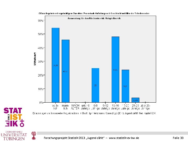 Forschungsprojekt Statistik 2013 „Jugend zählt“ – www. statistik-ev-bw. de Folie 33 