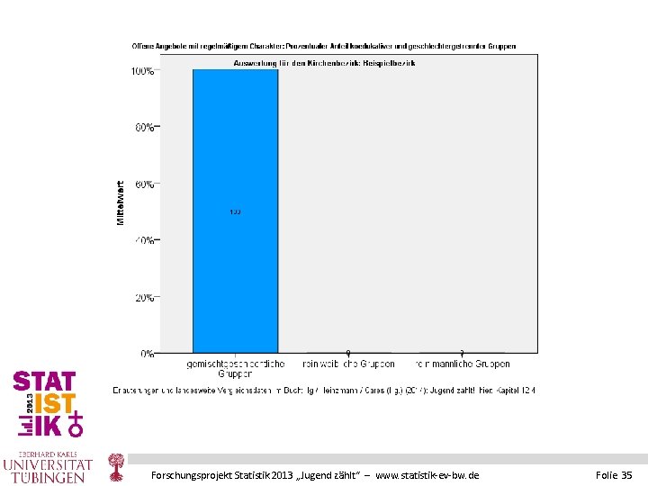 Forschungsprojekt Statistik 2013 „Jugend zählt“ – www. statistik-ev-bw. de Folie 35 