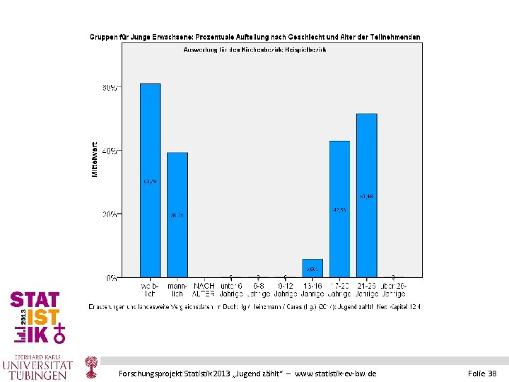 Forschungsprojekt Statistik 2013 „Jugend zählt“ – www. statistik-ev-bw. de Folie 38 