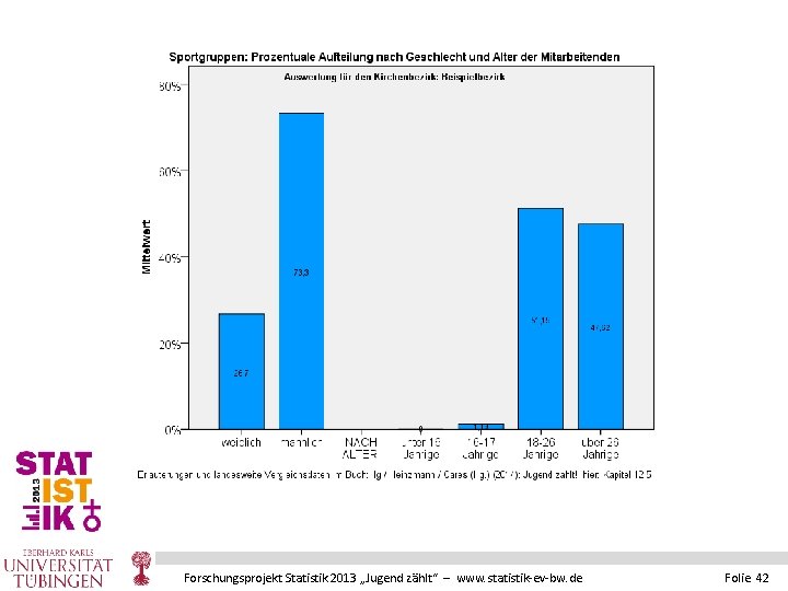 Forschungsprojekt Statistik 2013 „Jugend zählt“ – www. statistik-ev-bw. de Folie 42 